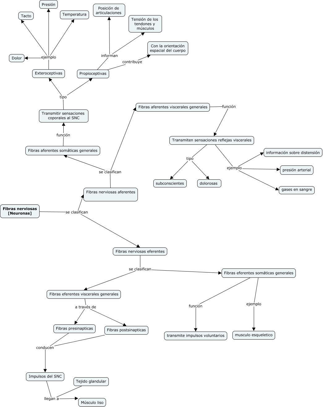 Fibras nerviosas espinales